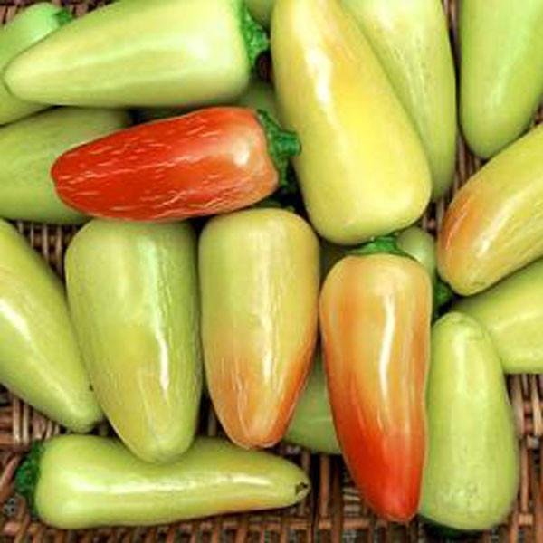 Jaloro Jalapenos |  Types of Jalapenos
