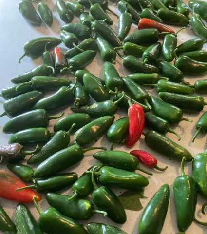 El Jefe Jalapenos | Types of Jalapenos