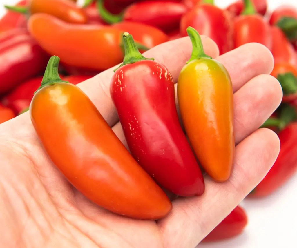 NuMx Pinnata: Types of Jalapenos