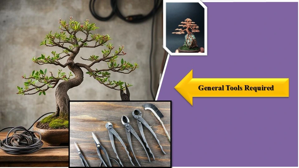 General Tools Required | How to Make a Wire Bonsai Tree