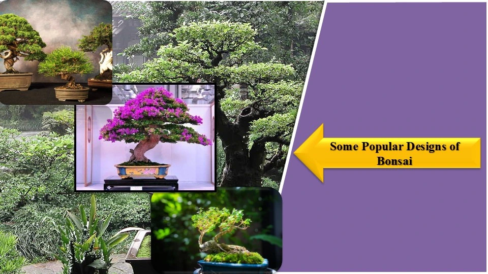 Popular Designs of Bonsai | How to Make a Wire Bonsai Tree