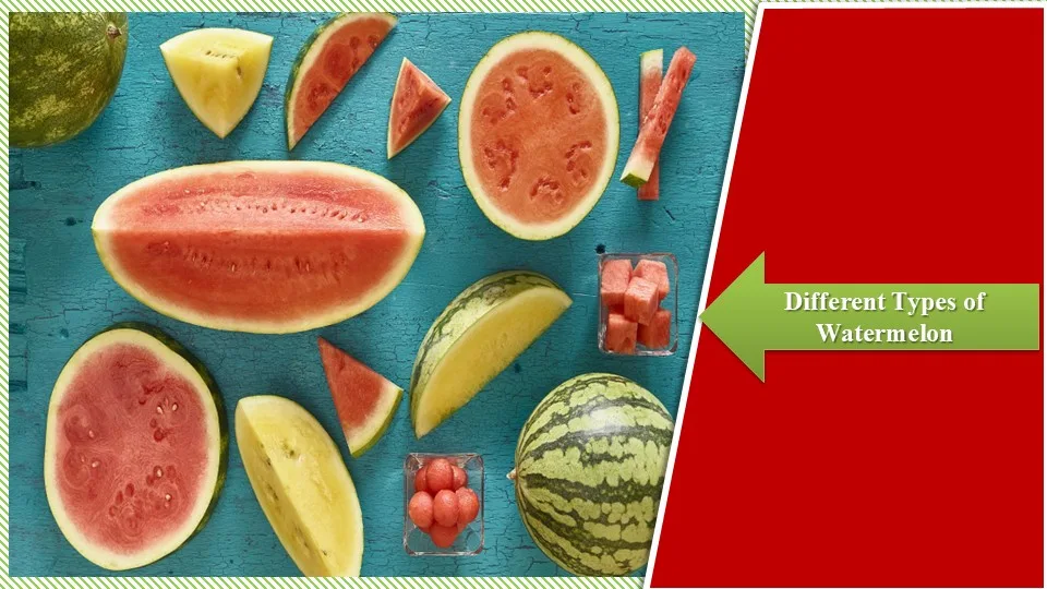 Different Types of Watermelon